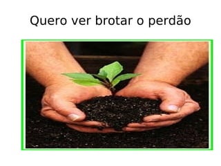 Quero ver brotar o perdão 