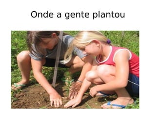 Onde a gente plantou 