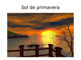 Sol de primavera 