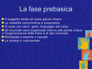 Il soggetto tende ad usare parole chiave
La modalità comunicativa è pragmatica
Si aiuta con cenni, gesti, linguaggio del corpo
Gli enunciati sono organizzati intorno alle parole chiave
e l’organizzazione della frase è di tipo nominale
Morfologia è assente o casuale
La sintassi è rudimentale
La fase prebasica
 