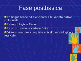 La lingua tende ad avvicinarsi alle varietà native
colloquiali
La morfologia è flessa
La strutturazione verbale finita
Vi sono continue conquiste a livello morfologico e
lessicale
Fase postbasica
 