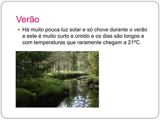 Verão
 Há muito pouca luz solar e só chove durante o verão

e este é muito curto e úmido e os dias são longos e
com temperaturas que raramente chegam a 21ºC.

 