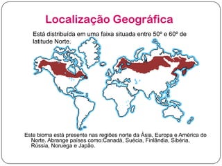 Localização Geográfica
Está distribuída em uma faixa situada entre 50º e 60º de
latitude Norte.

Este bioma está presente nas regiões norte da Ásia, Europa e América do
Norte. Abrange países como:Canadá, Suécia, Finlândia, Sibéria,
Rússia, Noruega e Japão.

 