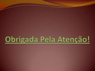 Teoria de Frank Bird - S.S.T 