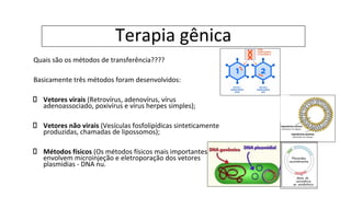 Terapia gênica
Quais são os métodos de transferência????
Basicamente três métodos foram desenvolvidos:
Vetores virais (Retrovírus, adenovírus, vírus
adenoassociado, poxivírus e vírus herpes simples);
Vetores não virais (Vesículas fosfolipídicas sinteticamente
produzidas, chamadas de lipossomos);
Métodos físicos (Os métodos físicos mais importantes
envolvem microinjeção e eletroporação dos vetores
plasmidias - DNA nu.
 