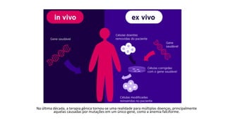 Na última década, a terapia gênica tornou-se uma realidade para múltiplas doenças, principalmente
aquelas causadas por mutações em um único gene, como a anemia falciforme.
 