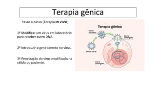 Terapia gênica
Passo a passo (Terapia IN VIVO):
1º Modificar um vírus em laboratório
para receber outro DNA.
2º Introduzir o gene correto no vírus.
3º Penetração do vírus modificado na
célula do paciente.
 