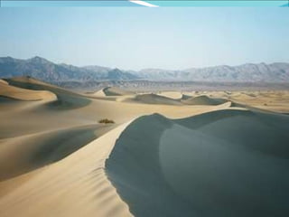 Imagens do Clima Desértico : 