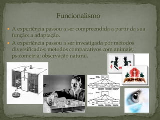  A experiência passou a ser compreendida a partir da sua
função: a adaptação.
 A experiência passou a ser investigada por métodos
diversificados: métodos comparativos com animais;
psicometria; observação natural.
 