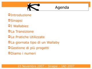 Agenda Introduzione Sinapsi I Wallabiez La Transizione Le Pratiche Utilizzate La giornata tipo di un Wallaby Gestione di più progetti Diamo i numeri 