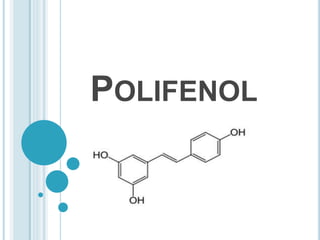 POLIFENOL 
 