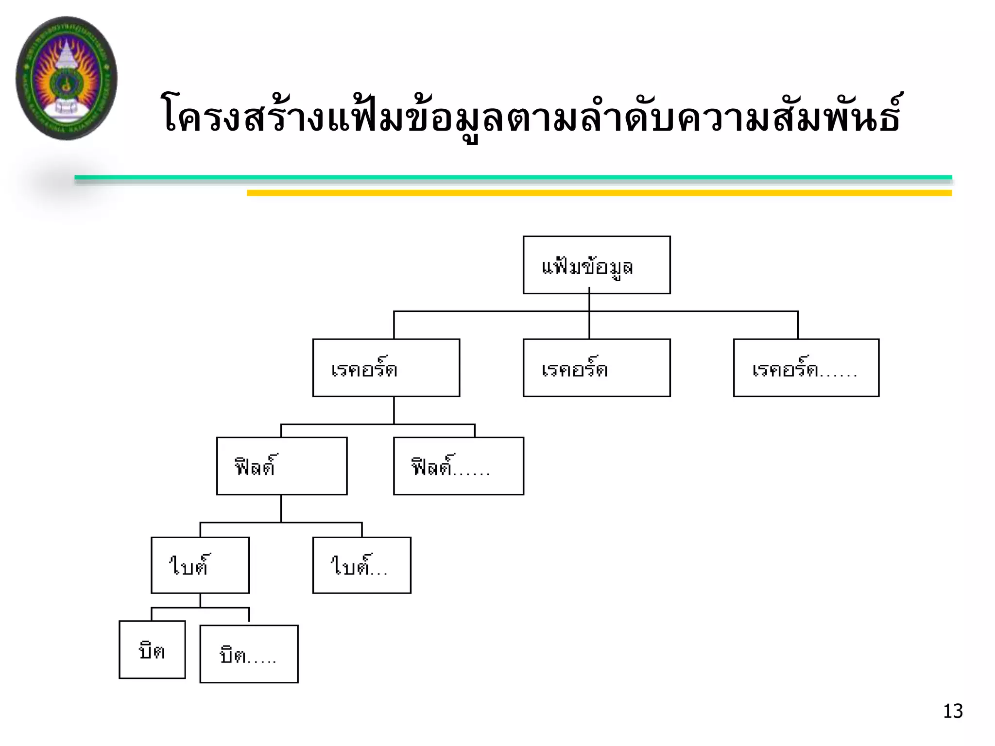 13 
โครงสร้างแฟ้มข้อมูลตามลา ดับความสัมพันธ์ 
 