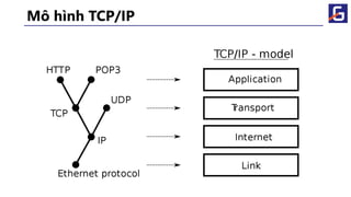 Mô hình TCP/IP
 