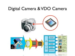 MMT image & graphics