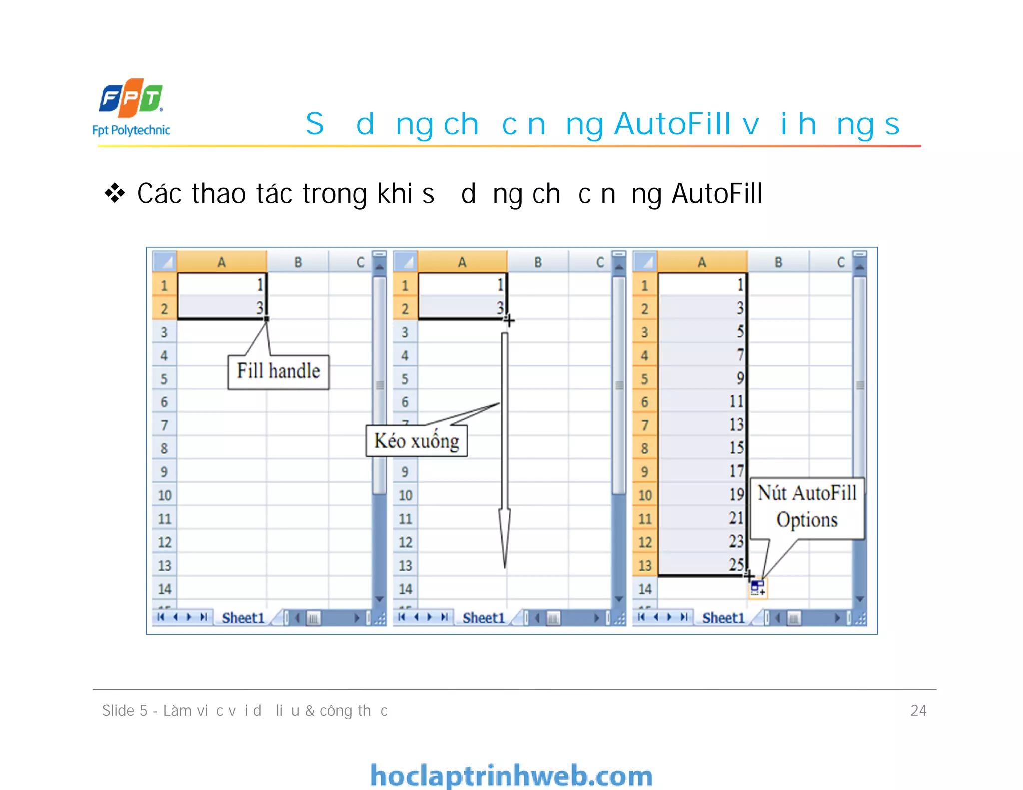 Sử dụng chức năng AutoFill với hằng số
 Các thao tác trong khi sử dụng chức năng AutoFill
Slide 5 - Làm việc với dữ liệu & công thức 24
 