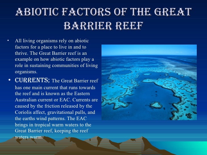 The Great Barrier reef!
