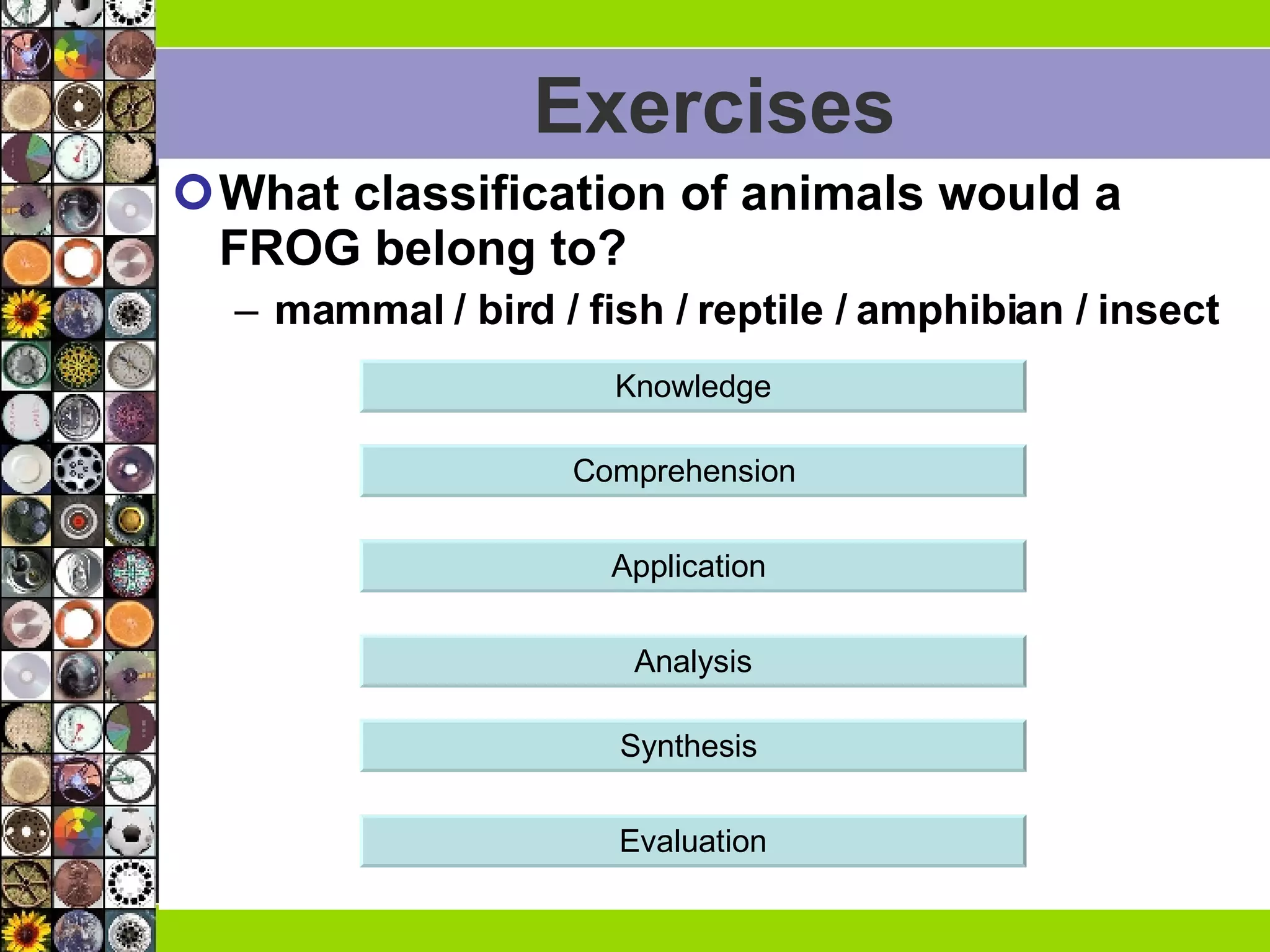 Exercises What classification of animals would a FROG belong to? mammal / bird / fish / reptile / amphibian / insect  Analysis Comprehension  Application  Knowledge Synthesis  Evaluation 