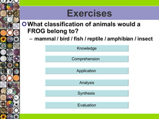Exercises What classification of animals would a FROG belong to? mammal / bird / fish / reptile / amphibian / insect  Analysis Comprehension  Application  Knowledge Synthesis  Evaluation 