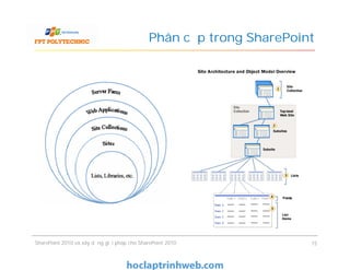 Phân cấp trong SharePoint
SharePoint 2010 và xây dựng giải pháp cho SharePoint 2010 15
 