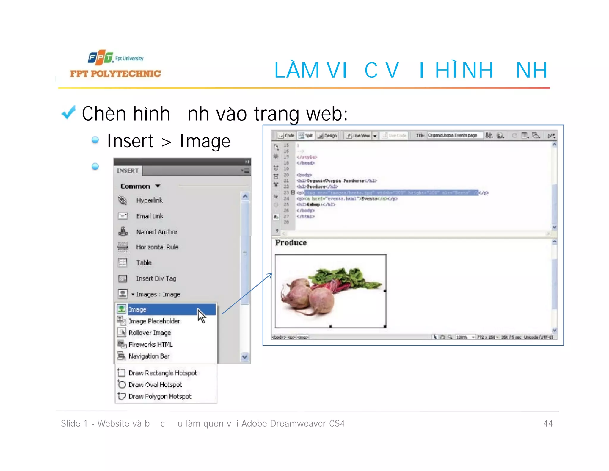 LÀM VIỆC VỚI HÌNH ẢNH
Chèn hình ảnh vào trang web:
Insert > Image
Slide 1 - Website và bước đầu làm quen với Adobe Dreamweaver CS4 44
 