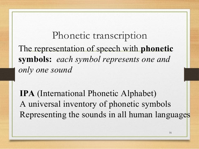 Introduction to Phonetics & Phonology