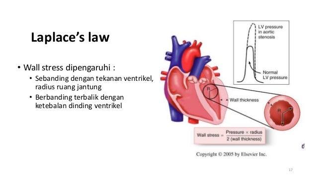 MEKANISME KOMPENSASI JANTUNG