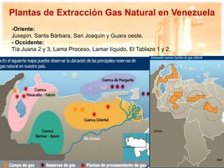 Procesamiento de gas natural en Venezuela | PDF