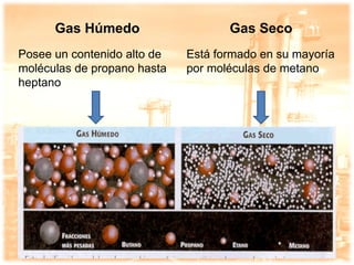Procesamiento de gas natural en Venezuela | PDF
