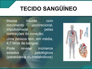 TECIDO SANGÜÍNEO Massa líquida com movimento unidirecional, impulsionada pelas contrações do coração; Uma pessoa tem, em média, 4,7 litros de sangue; Pode revelar inúmeros estados patológicos (parasitários ou metabólicos) 