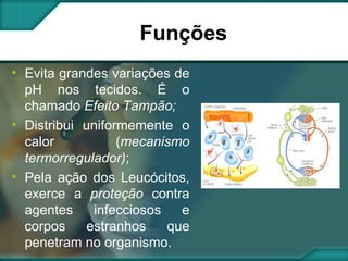 Funções Evita grandes variações de pH nos tecidos. É o chamado  Efeito Tampão; Distribui uniformemente o calor ( mecanismo termorregulador) ; Pela ação dos Leucócitos, exerce a  proteção  contra agentes infecciosos e corpos estranhos que penetram no organismo. 