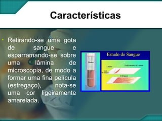 Características Retirando-se uma gota de sangue e esparramando-se sobre uma lâmina de microscopia, de modo a formar uma fina película (esfregaço), nota-se uma cor ligeiramente amarelada. 