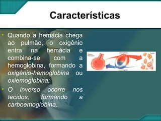 Características Quando a hemácia chega ao pulmão, o oxigênio entra na hemácia e combina-se com a hemoglobina, formando a  oxigênio-hemoglobina  ou  oxiemoglobina; O inverso ocorre nos tecidos, formando a carboemoglobina. 