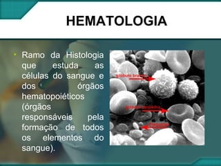 HEMATOLOGIA Ramo da Histologia que estuda as células do sangue e dos órgãos hematopoiéticos (órgãos responsáveis pela formação de todos os elementos do sangue). 