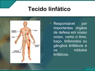 Tecido linfático  Responsável por importantes órgãos de defesa em nosso corpo, como o timo, baço, linfonodos ou gânglios linfáticos e os nódulos linfáticos. 