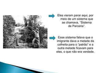 Eles vieram parar aqui, por meio de um sistema que se chamava, “Sistema de Parceria”.Esse sistema falava que o imigrante dava a metade da colheita para o “patrão” e a outra metade ficavam para eles, o que não era verdade.