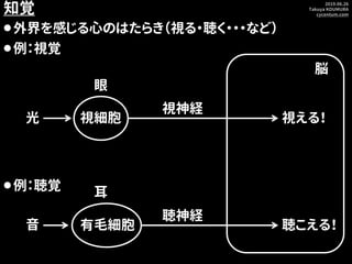2019.06.26
Takuya KOUMURA
cycentum.com
知覚
⚫外界を感じる心のはたらき（視る・聴く・・・など）
⚫例：視覚
光 視える！
眼
視細胞
脳
視神経
⚫例：聴覚
音 聴こえる！
耳
有毛細胞
聴神経
 
