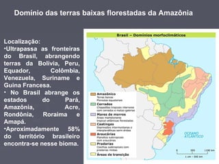 Domínio das terras baixas florestadas da Amazônia

Localização:
•Ultrapassa as fronteiras
do Brasil, abrangendo
terras da Bolívia, Peru,
Equador,
Colômbia,
Venezuela, Suriname e
Guina Francesa.
• No Brasil abrange os
estados
do
Pará,
Amazônia,
Acre,
Rondônia,
Roraima
e
Amapá.
•Aproximadamente 58%
do território brasileiro
encontra-se nesse bioma.

 