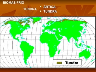 BIOMAS FRIO
TUNDRA




ÁRTICA
TUNDRA

 