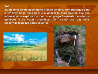 Solo
Existe uma diversidade muito grande de solo, com destaque para
o tchenozion (o mais rico) e o podzol (o mais pobre), que são
intensamente explorados, com o emprego freqüente de adubos
químicos e às vezes orgânicos, bem como uso das mais
modernas técnicas agropecuárias.

 