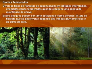 Biomas Temperados
Diversos tipos de florestas se desenvolvem em latitudes intermédias,
chamadas zonas temperadas quando recebem uma adequada
quantidade de chuva.
Esses bosques podem ser tanto estacionais como perenes. O tipo de
floresta que se desenvolve depende dos índices pluviométricos e
do clima da área.

 
