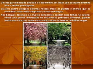 Um bosque temperado decidual se desenvolve em áreas que possuem invernos
frios e verões prolongados.
Existem quatro estações distintas nessas áreas; as plantas e animais que se
encontram nelas estão adaptadas a essas mudanças.
Nos bosques deciduais as árvores dominantes perdem suas folhas no outono,
existe uma grande diversidade no sub-bosque (arbustos silvestres, plantas
herbáceas e mudas), assim como muitos tipos de árvores de folhas longas.

 