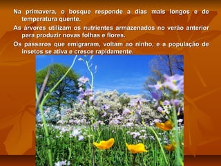Na primavera, o bosque responde a dias mais longos e de
temperatura quente.
As árvores utilizam os nutrientes armazenados no verão anterior
para produzir novas folhas e flores.
Os pássaros que emigraram, voltam ao ninho, e a população de
insetos se ativa e cresce rapidamente.

 