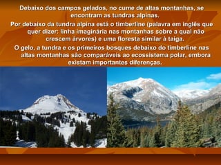 Debaixo dos campos gelados, no cume de altas montanhas, se
encontram as tundras alpinas.
Por debaixo da tundra alpina está o timberline (palavra em inglês que
quer dizer: linha imaginária nas montanhas sobre a qual não
crescem árvores) e uma floresta similar à taiga.
O gelo, a tundra e os primeiros bosques debaixo do timberline nas
altas montanhas são comparáveis ao ecossistema polar, embora
existam importantes diferenças.

 