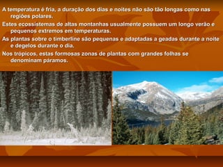 A temperatura é fria, a duração dos dias e noites não são tão longas como nas
regiões polares.
Estes ecossistemas de altas montanhas usualmente possuem um longo verão e
pequenos extremos em temperaturas.
As plantas sobre o timberline são pequenas e adaptadas a geadas durante a noite
e degelos durante o dia.
Nos trópicos, estas formosas zonas de plantas com grandes folhas se
denominam páramos.

 