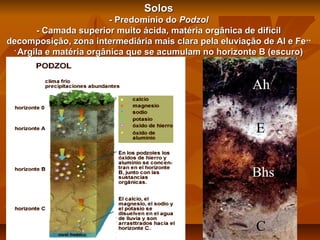 Solos
- Predomínio do Podzol
- Camada superior muito ácida, matéria orgânica de difícil
decomposição, zona intermediária mais clara pela eluviação de Al e Fe ++
Argila e matéria orgânica que se acumulam no horizonte B (escuro)

 