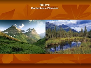 Relevo
Montanhas e Planícies

 