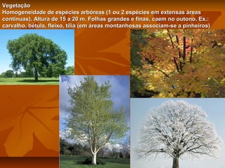 Vegetação
Homogeneidade de espécies arbóreas (1 ou 2 espécies em extensas áreas
continuas). Altura de 15 a 20 m. Folhas grandes e finas, caem no outono. Ex.:
carvalho, bétula, fleixo, tília (em áreas montanhosas associam-se a pinheiros)

 
