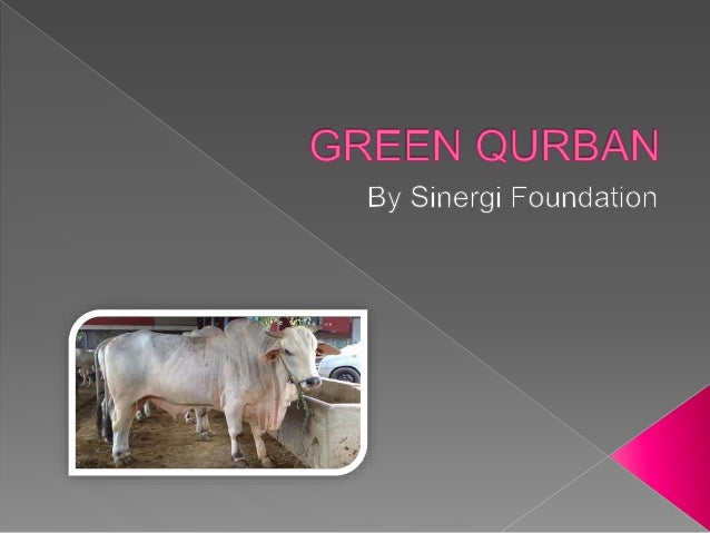 Lembaga Penyalur Sapi Kurban Murah Depot Hewan Qurban Depot Hewan Q