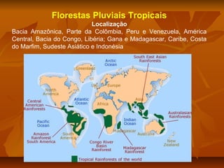 Florestas Pluviais Tropicais
Localização
Bacia Amazônica, Parte da Colômbia, Peru e Venezuela, América
Central, Bacia do Congo, Libéria; Gana e Madagascar, Caribe, Costa
do Marfim, Sudeste Asiático e Indonésia

 