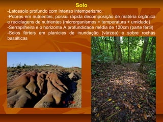 Solo
-Latossolo profundo com intenso intemperismo
-Pobres em nutrientes; possui rápida decomposição de matéria orgânica
e reciclagens de nutrientes (microrganismos + temperatura + umidade)
-Serrapilheira e o horizonte A profundidade média de 120cm (parte fértil)
-Solos férteis em planícies de inundação (várzea) e sobre rochas
basálticas

 
